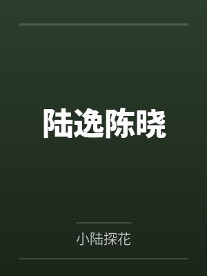 我的母亲的小说
