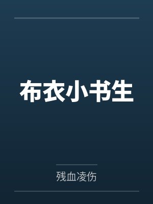 布衣小书生